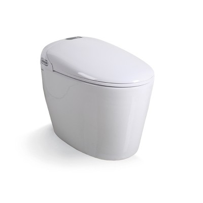 toilet intelligent instant heat wash smart flush toilet