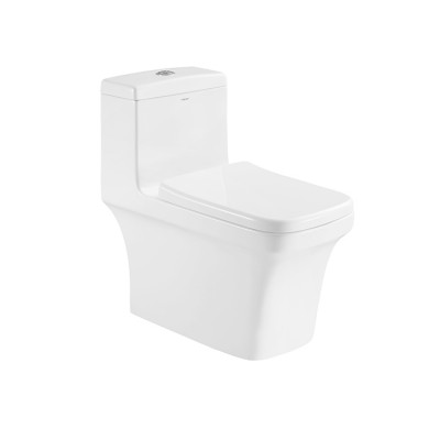 Foshan Siphonic Ceramic One Piece Toilet With Dual Flush